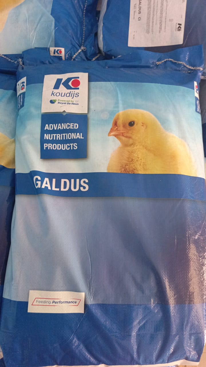 Aliment Galdus 1
